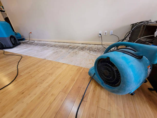 Professional Flood Damage Cleanup technician working in Troy, NH